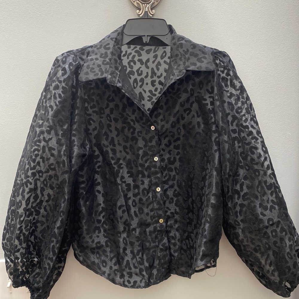 Nasty Gal Collection sheer puff sleeve, Medium